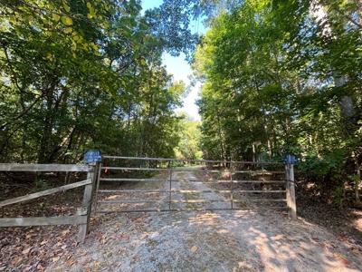 381 Acres Hunting Land for Sale in Natchez, MS - image 14