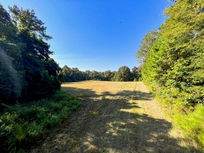 381 Acres Hunting Land for Sale in Natchez, MS - image 35