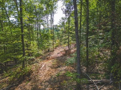 Unrestricted Land in the Church Hill Community, Hawkins Cou - image 28