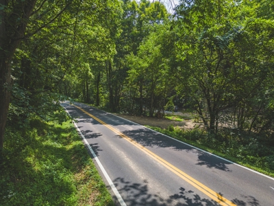 Unrestricted Land in the Church Hill Community, Hawkins Cou - image 15