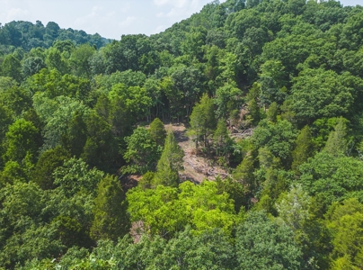 Unrestricted Land in the Church Hill Community, Hawkins Cou - image 22