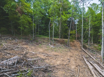 Unrestricted Land in the Church Hill Community, Hawkins Cou - image 26