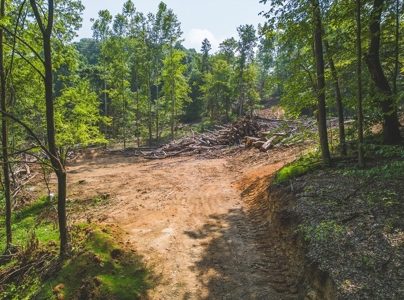 Unrestricted Land in the Church Hill Community, Hawkins Cou - image 13