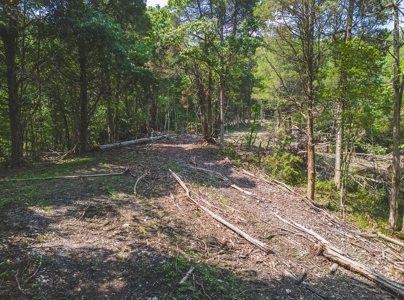 Unrestricted Land in the Church Hill Community, Hawkins Cou - image 20