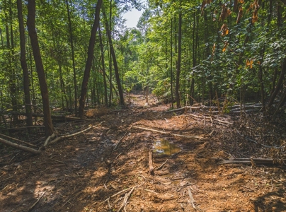 Unrestricted Land in the Church Hill Community, Hawkins Cou - image 23