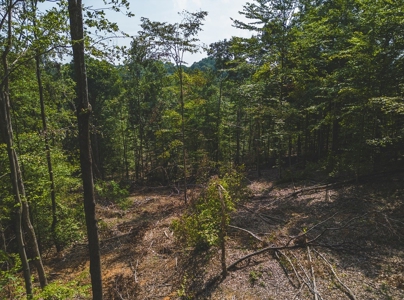 Unrestricted Land in the Church Hill Community, Hawkins Cou - image 29