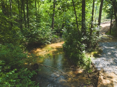 Unrestricted Land in the Church Hill Community, Hawkins Cou - image 12