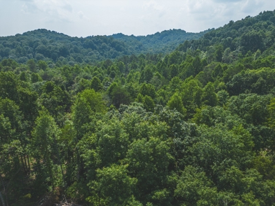 Unrestricted Land in the Church Hill Community, Hawkins Cou - image 1