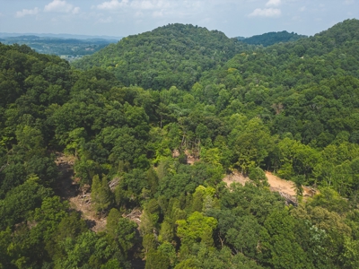 Unrestricted Land in the Church Hill Community, Hawkins Cou - image 7