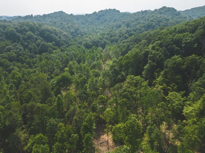 Unrestricted Land in the Church Hill Community, Hawkins Cou - image 6