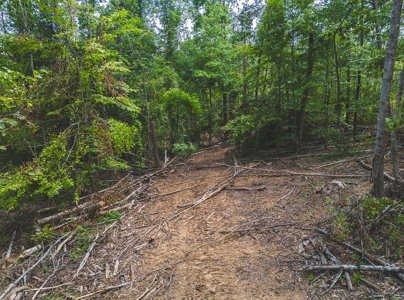 Unrestricted Land in the Church Hill Community, Hawkins Cou - image 27