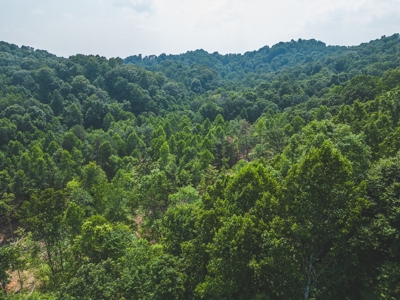 Unrestricted Land in the Church Hill Community, Hawkins Cou - image 16