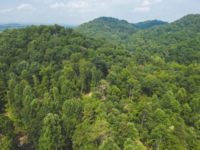 Unrestricted Land in the Church Hill Community, Hawkins Cou - image 5