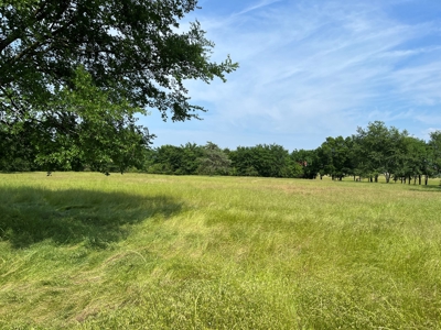 Land For Sale in Pushmata County, Oklahoma! - image 6