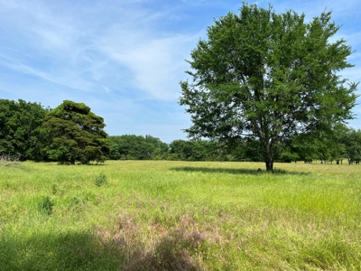 Land For Sale in Pushmata County, Oklahoma! - image 3