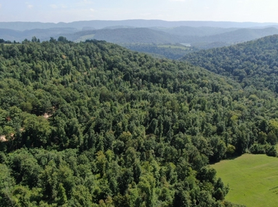 Experience Serene Country Living with Breathtaking Mountain - image 14