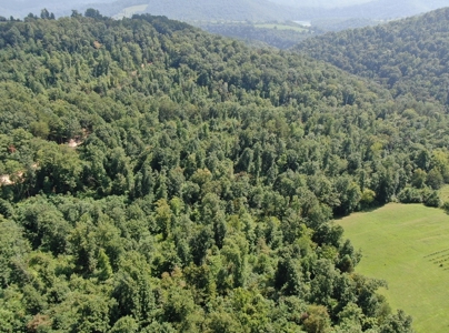 Experience Serene Country Living with Breathtaking Mountain - image 12