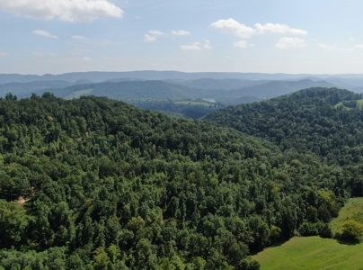 Experience Serene Country Living with Breathtaking Mountain - image 18