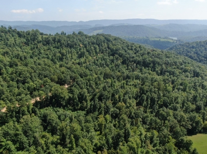 Experience Serene Country Living with Breathtaking Mountain - image 19