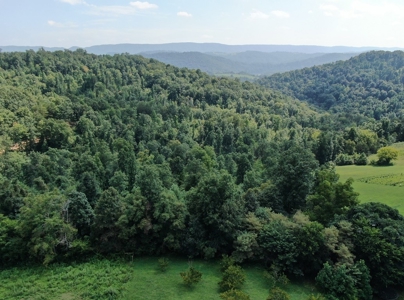 Experience Serene Country Living with Breathtaking Mountain - image 4