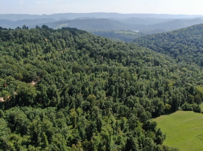 Experience Serene Country Living with Breathtaking Mountain - image 13