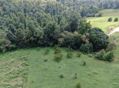 Experience Serene Country Living with Breathtaking Mountain - image 5