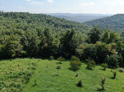 Experience Serene Country Living with Breathtaking Mountain - image 1