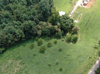 Experience Serene Country Living with Breathtaking Mountain - image 8