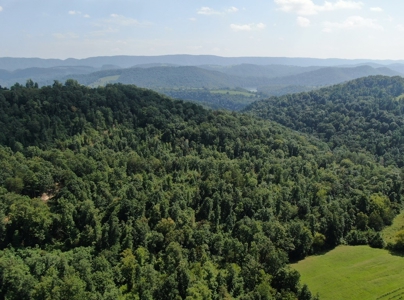 Experience Serene Country Living with Breathtaking Mountain - image 10