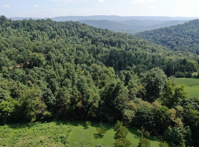 Experience Serene Country Living with Breathtaking Mountain - image 2