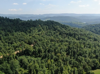 Experience Serene Country Living with Breathtaking Mountain - image 11