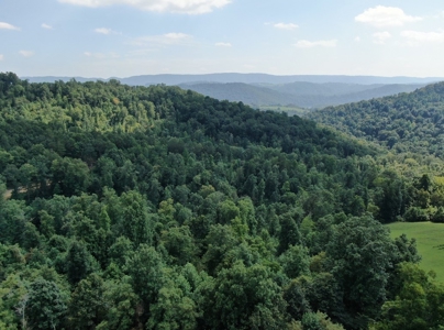 Experience Serene Country Living with Breathtaking Mountain - image 6