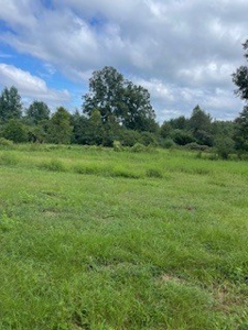 Country Home On 10.2 acres - image 38