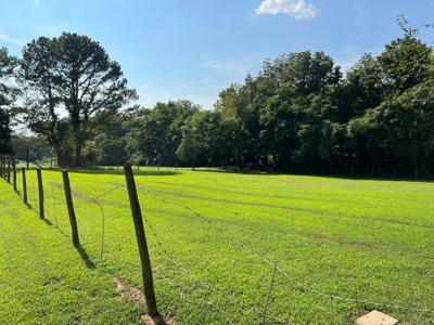 House For Sale In Scenic Calico Rock, Arkansas - image 12