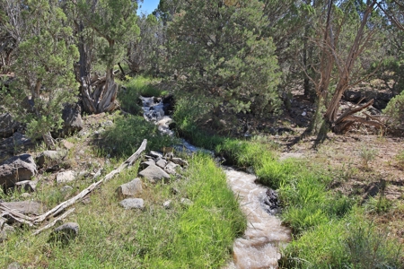 Mountain Home with Cabin on Acreage and Borders BLM For Sale - image 9