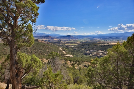 Mountain Home with Cabin on Acreage and Borders BLM For Sale - image 33