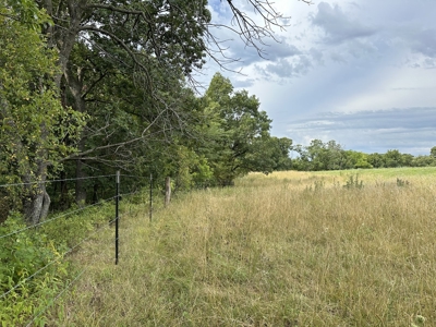Land For Sale - image 4