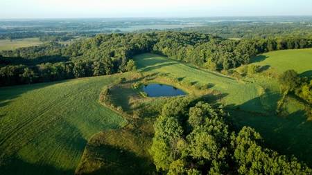 Land For Sale - image 2