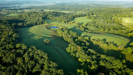 Land For Sale - image 3