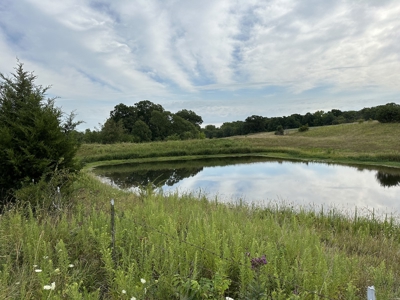 Land For Sale - image 7