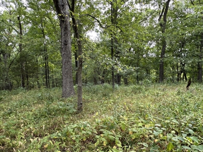 Land For Sale - image 6