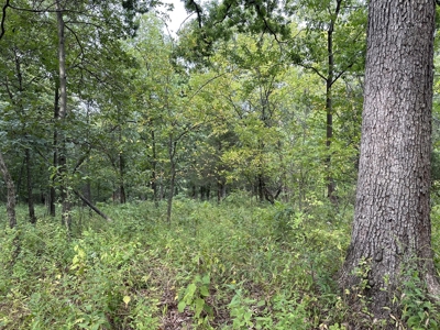 Land For Sale - image 5