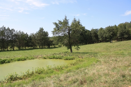 Wayne County Missouri Farm For Sale - image 45