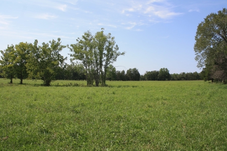 Wayne County Missouri Farm For Sale - image 48