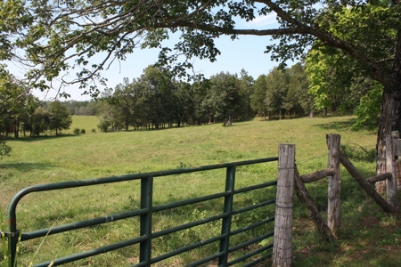 Wayne County Missouri Farm For Sale - image 35