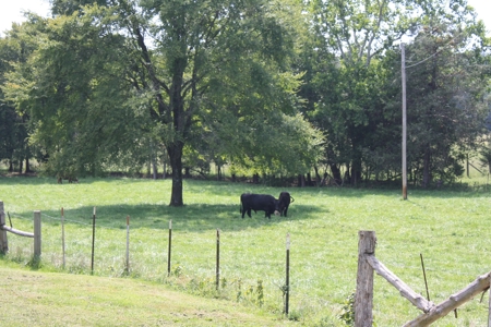 Wayne County Missouri Farm For Sale - image 44