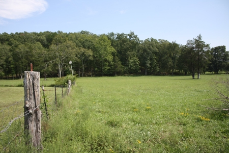 Wayne County Missouri Farm For Sale - image 41