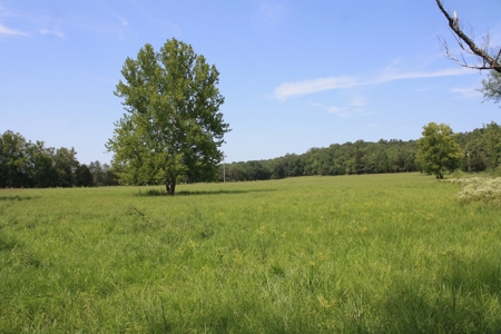 Wayne County Missouri Farm For Sale - image 50