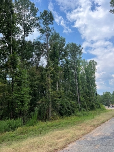 Home w/Income Opportunity on 8 Acres, for Sale in Selma, AL! - image 5