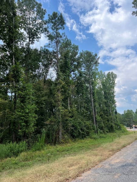 Home with Land for Sale in Selma Alabama
